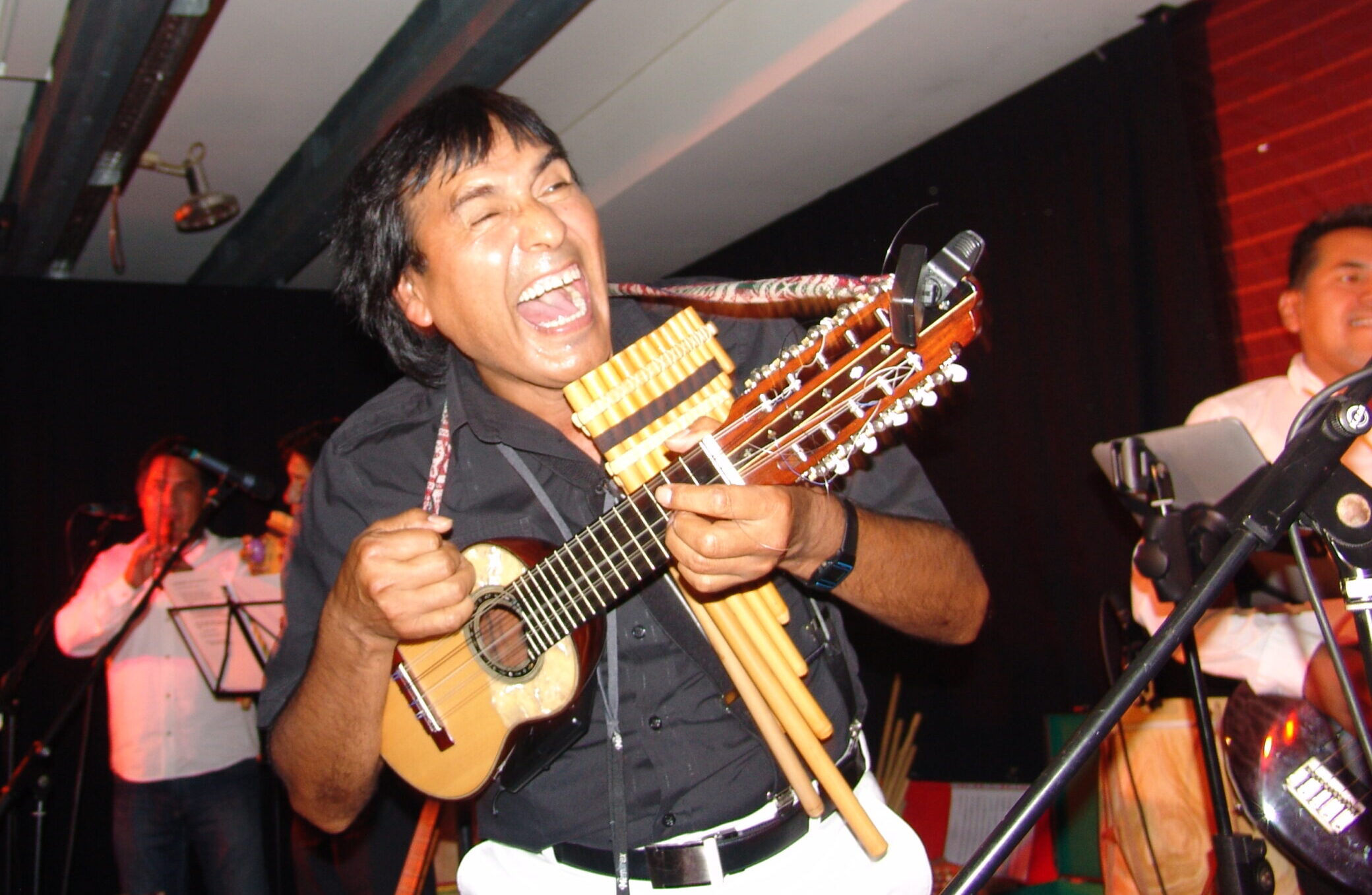 Tata Pancho 2013 – 49