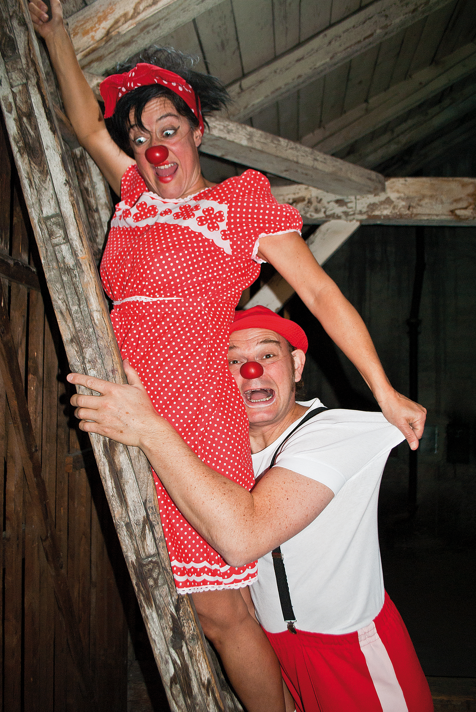 herbert & mimi – kraut & ruiben 2